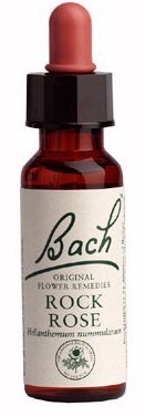 Nogal Flor de Bach 20 ml, para iniciar nuevas etapas