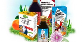 Floradix, gama de productos