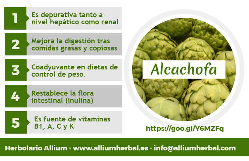 Infografía sobre la alcachofa y sus propiedades