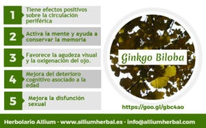 El ginkgo biloba mejora los trastornos circulatorios, activa la mente y ayuda a conservar la memoria. Tiene efectos positivos sobre las funciones cerebrales y circulación periférica.