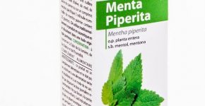 Aceite esencial de menta piperita (Mentha piperita) Esential'arôms de cultivo biológico