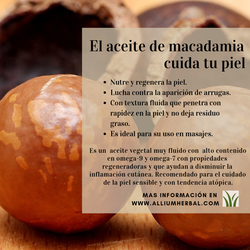 Propiedades de la macadamia